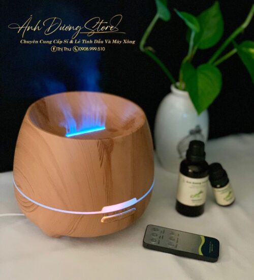 ĐÈN LỒNG ĐEN TRẮNG - Hình ảnh 2