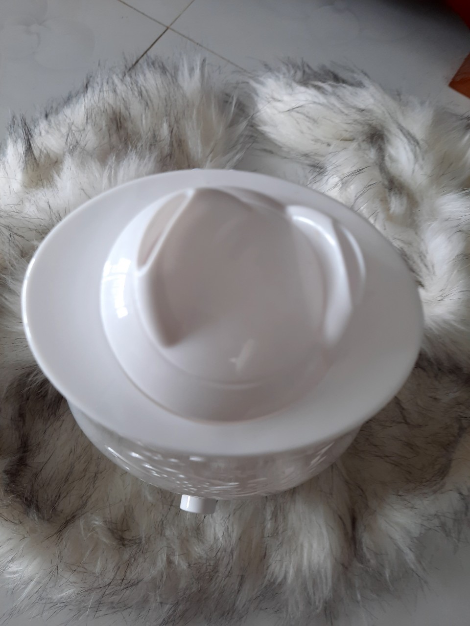 ĐÈN KHUẾCH TÁN HỒ ĐIỆP TRÒN - Ảnh 2