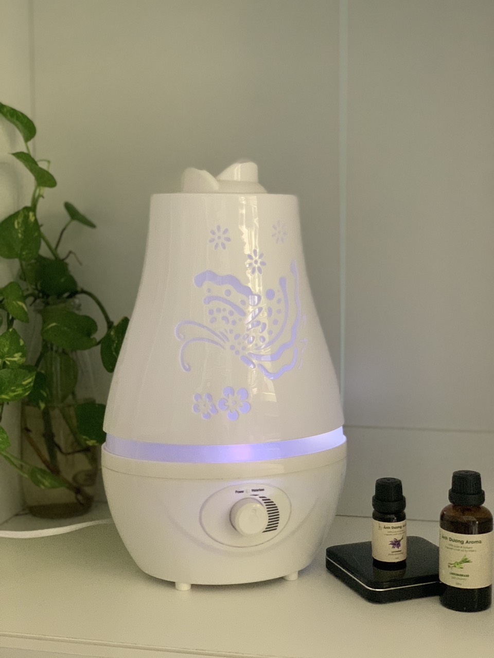 ĐÈN KHUẾCH TÁN HỒ ĐIỆP TRÒN