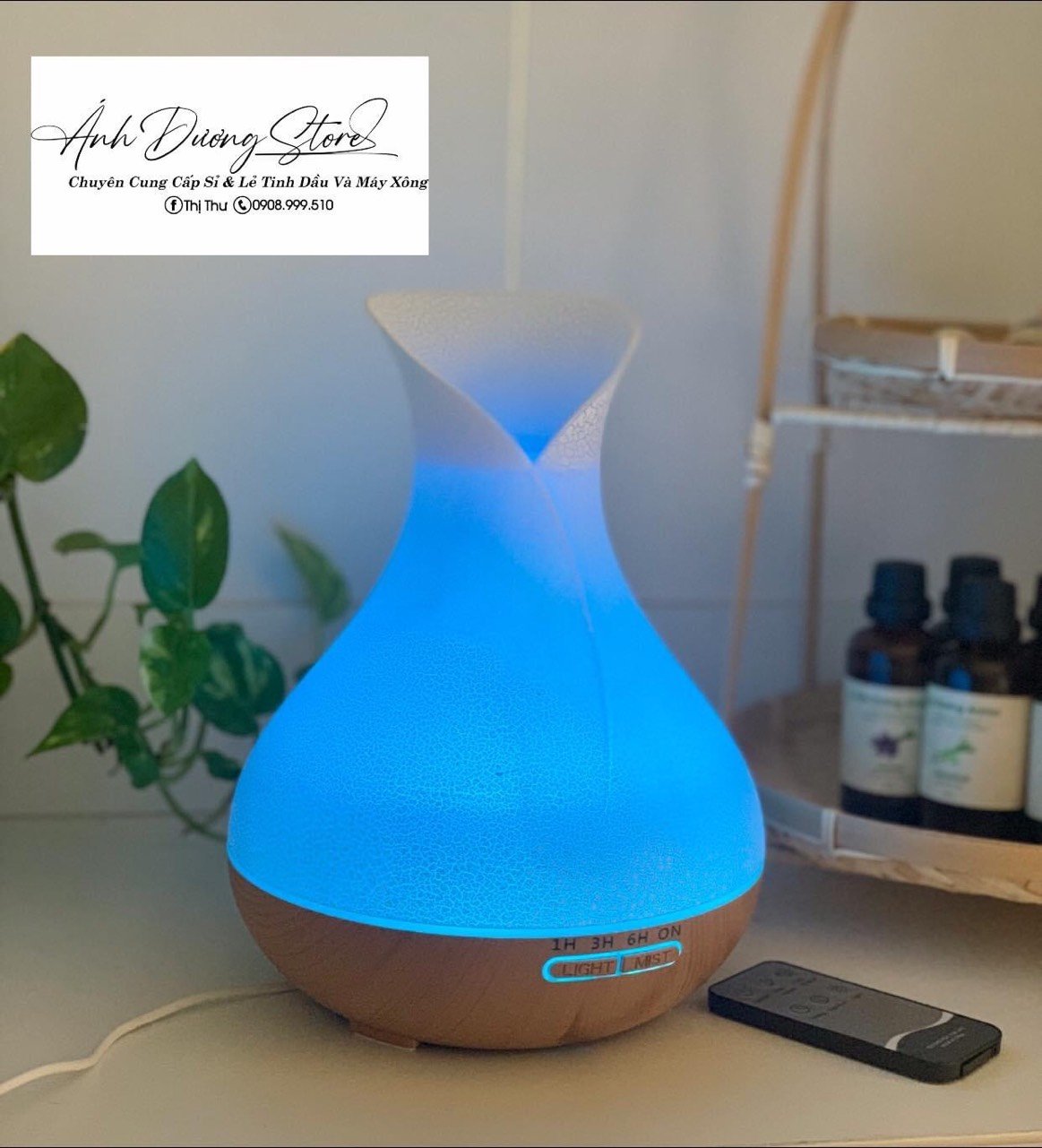 Máy khuếch tán tuylip sáng tối - Ảnh 3